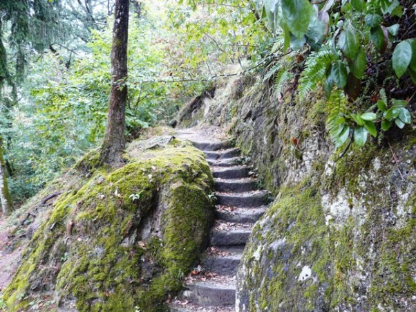 cathares 0026
